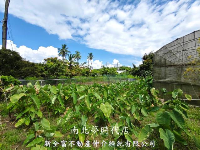 左鎮農地-2