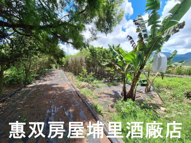埔里農地-3