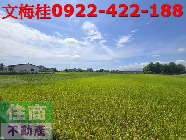 員山農地-2