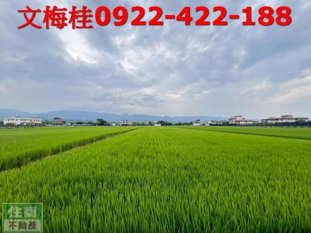 壯圍農地-1