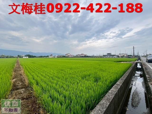 壯圍農地-3