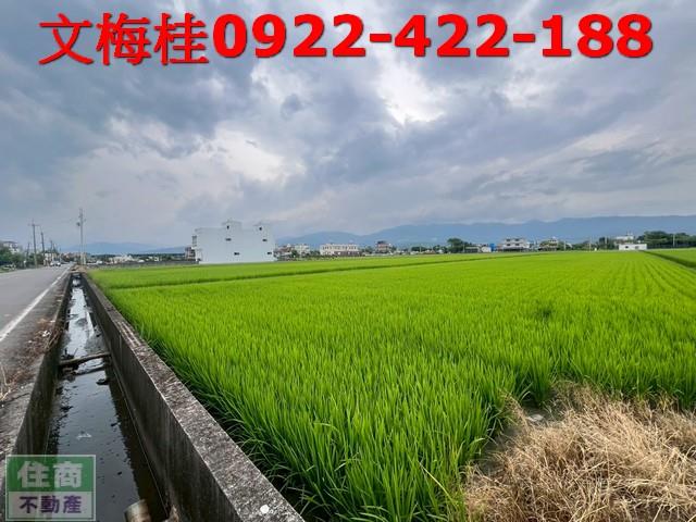 壯圍農地-2