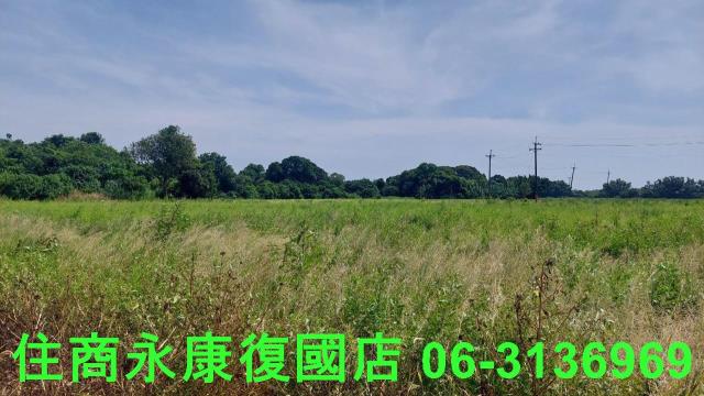 官田農地-4