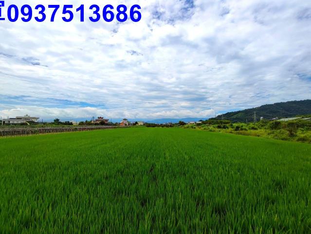 員山農地-4