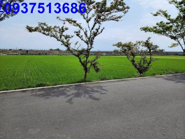 宜蘭農地-15
