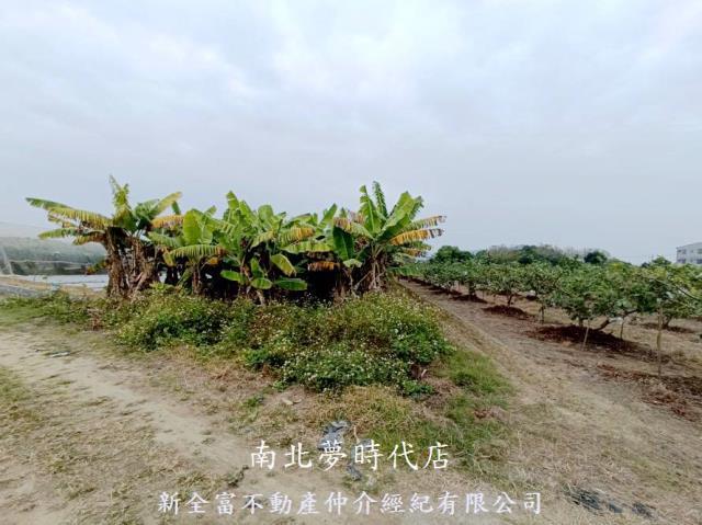 台南玉井農地-3