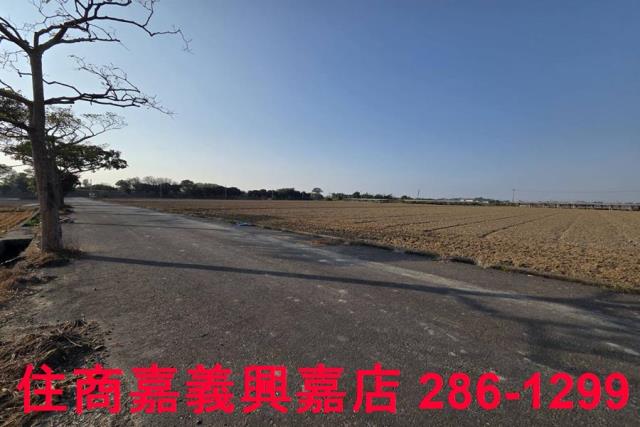 大林農地-7