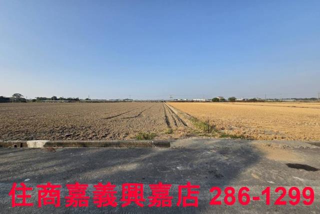 大林農地-9