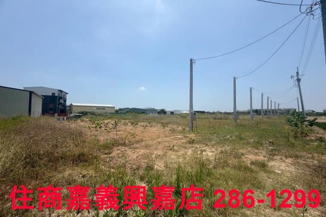 嘉義農地-6