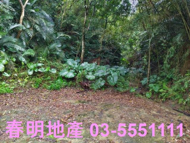 新竹農地-2