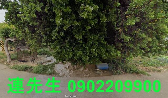 南投名間法拍建地-3