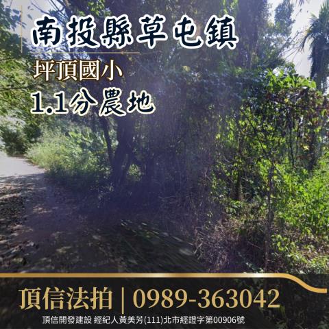 草屯農地法拍-1