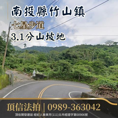 竹山拍賣農地-2