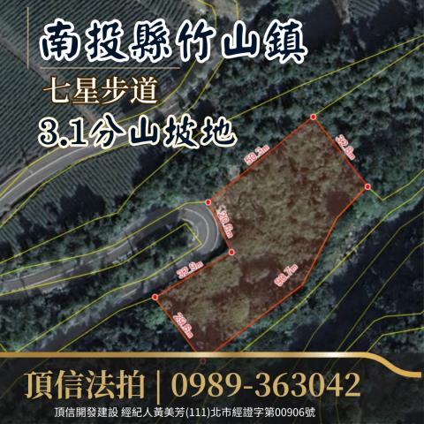 竹山拍賣農地-3