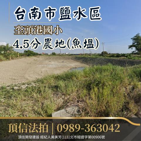 鹽水農地法拍-2