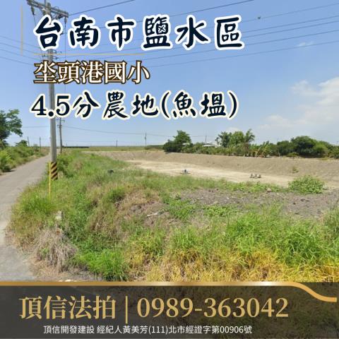 鹽水農地法拍-3