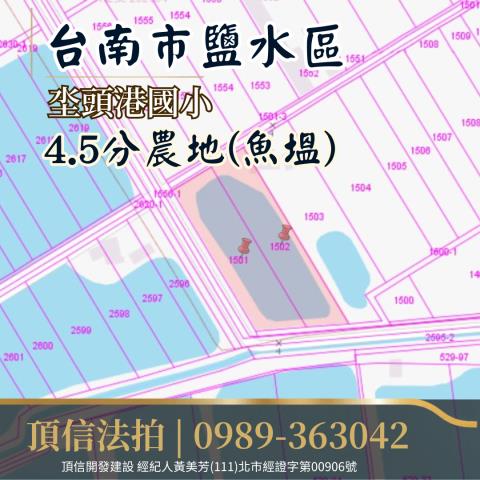 鹽水農地法拍-6