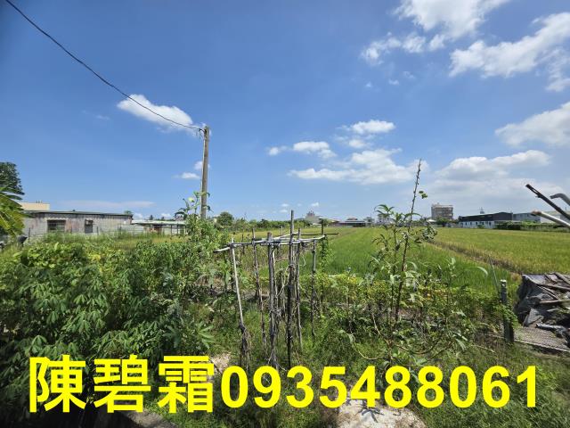 台南歸仁農地-2