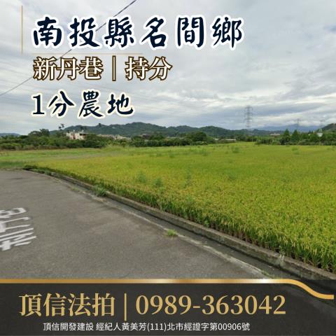 南投名間法拍農地-2