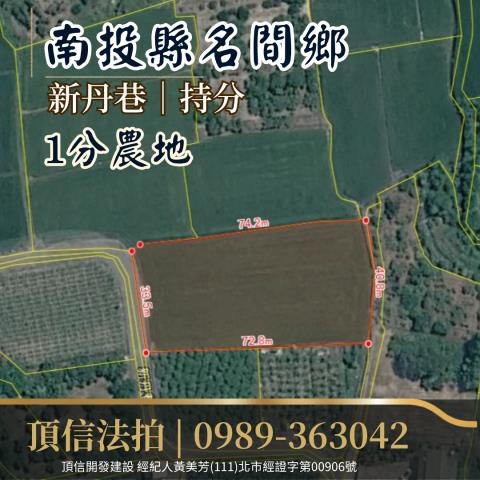南投名間法拍農地-3