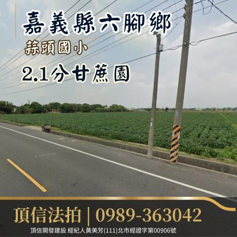 嘉義農地法拍-1