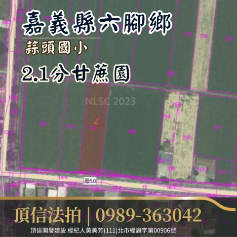 嘉義農地法拍-3