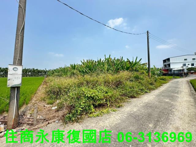 屏東農地-3
