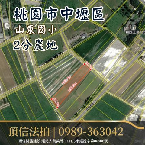中壢法拍農地-3