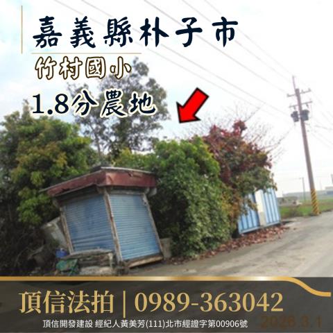 朴子法拍農地-2