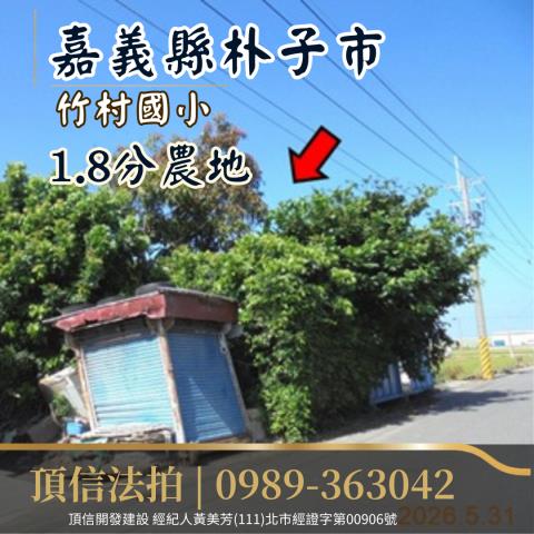 朴子法拍農地-5
