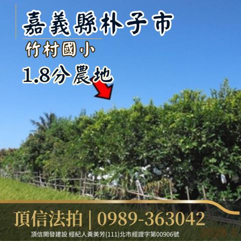 朴子法拍農地-6