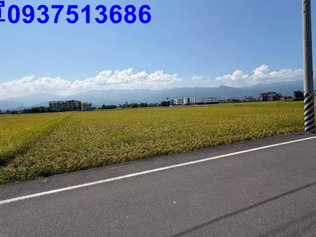 宜蘭農地-5