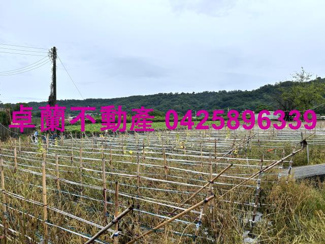 卓蘭農地-3