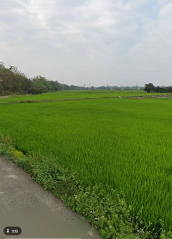 白河農地拍賣-6