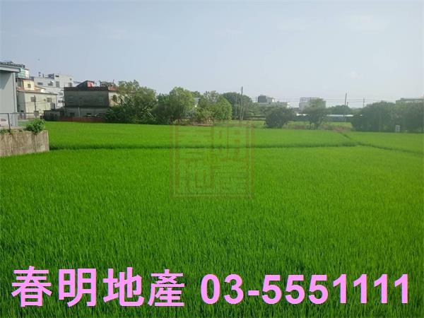 竹北農地-3