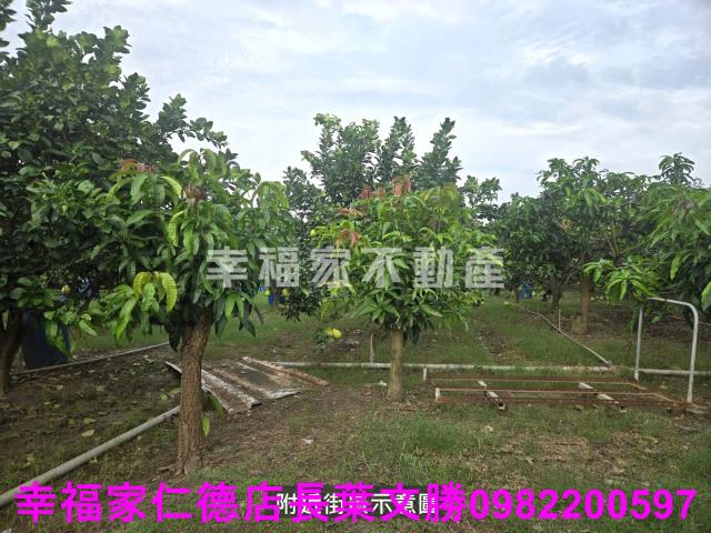台南麻豆農地-9