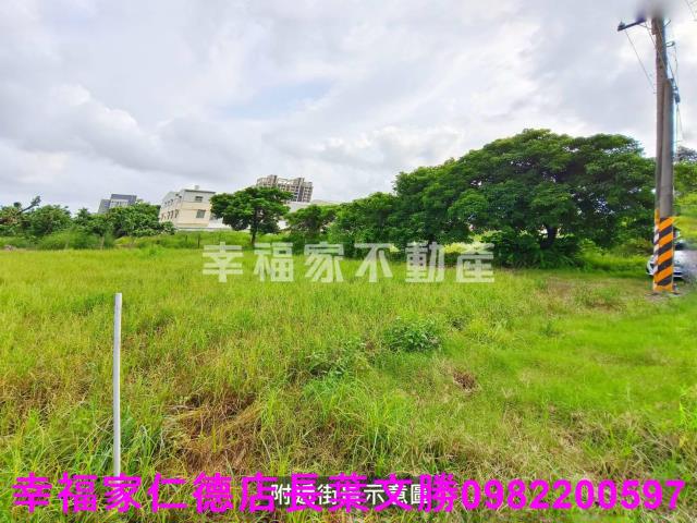 台南善化農地-10