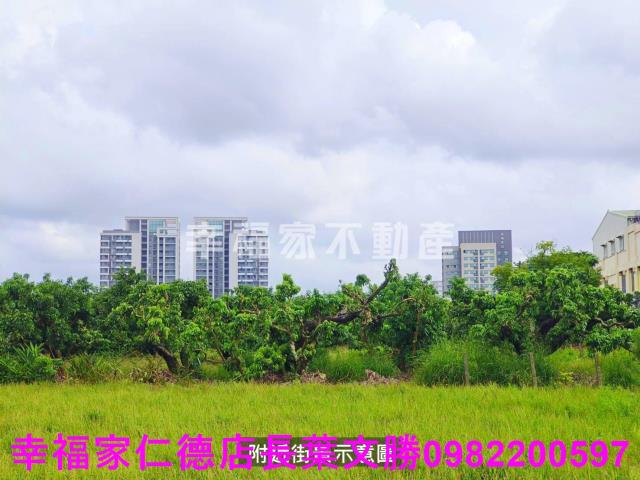 台南善化農地-11
