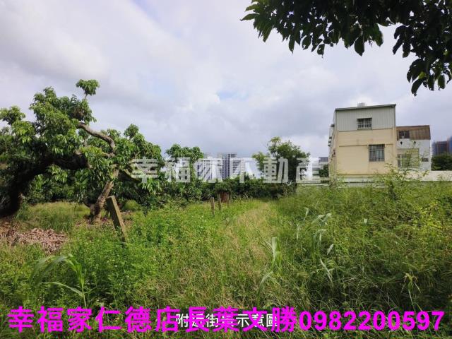 台南善化農地-4