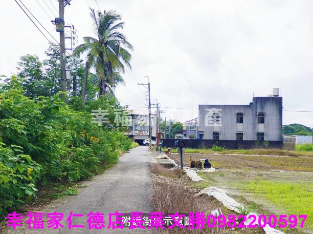台南善化農地-5