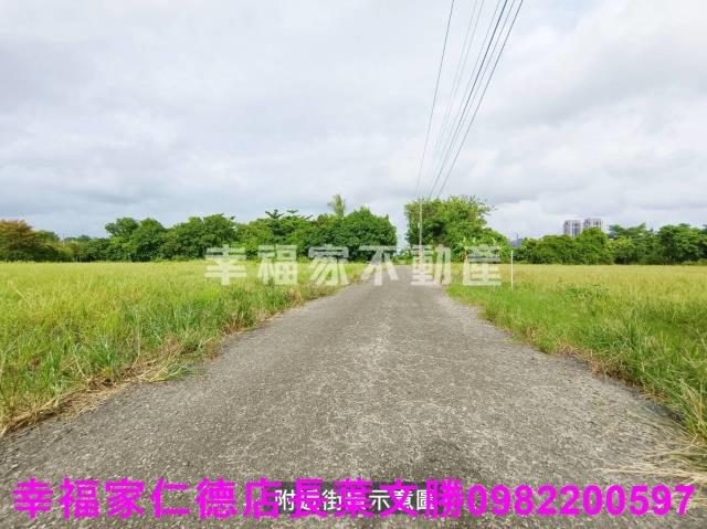 台南善化農地-9