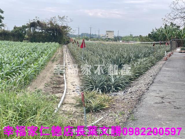 台南新市農地-10