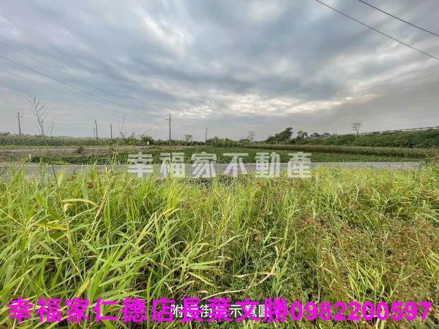 台南新市農地-12