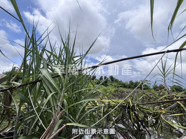 台南安定農地-2