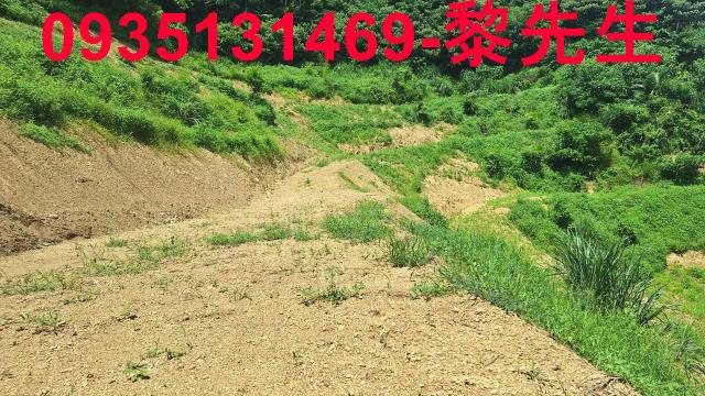 峨眉農地-10