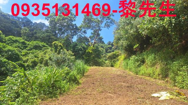 峨眉農地-6