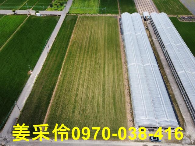 嘉義農地-6