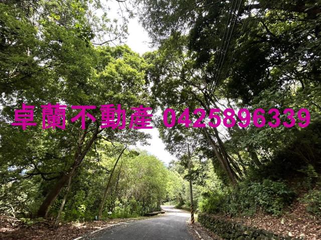 苗栗卓蘭農地-9