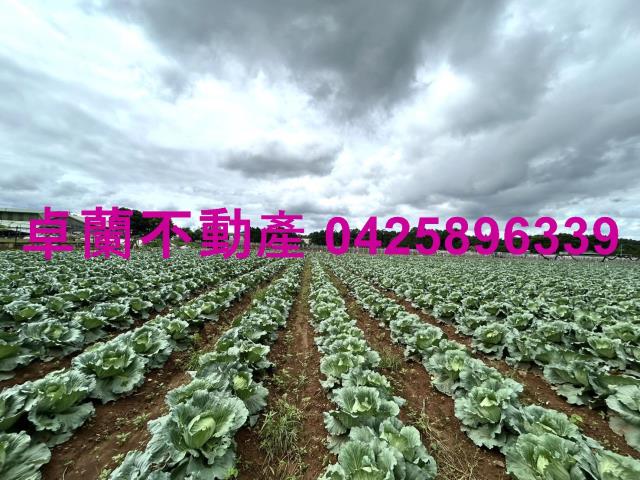 苗栗卓蘭農地-9