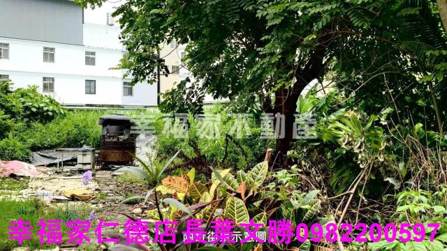 台南六甲建地-1
